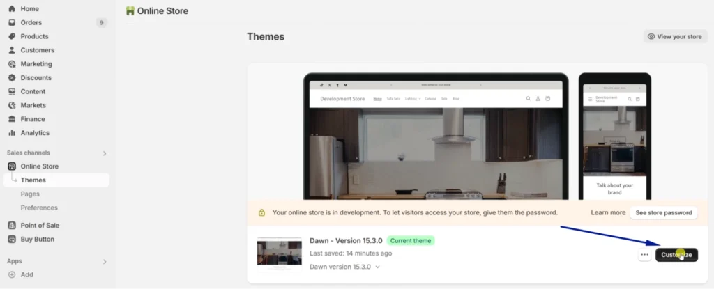 Access theme customizer for quantity settings